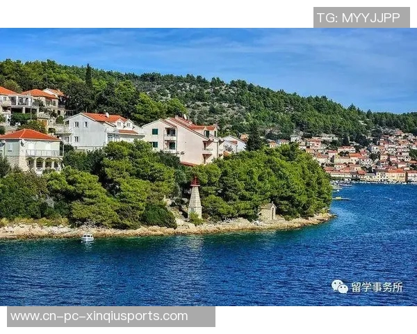 克罗地亚与匈牙利激战正酣谁将赢得这场精彩对决